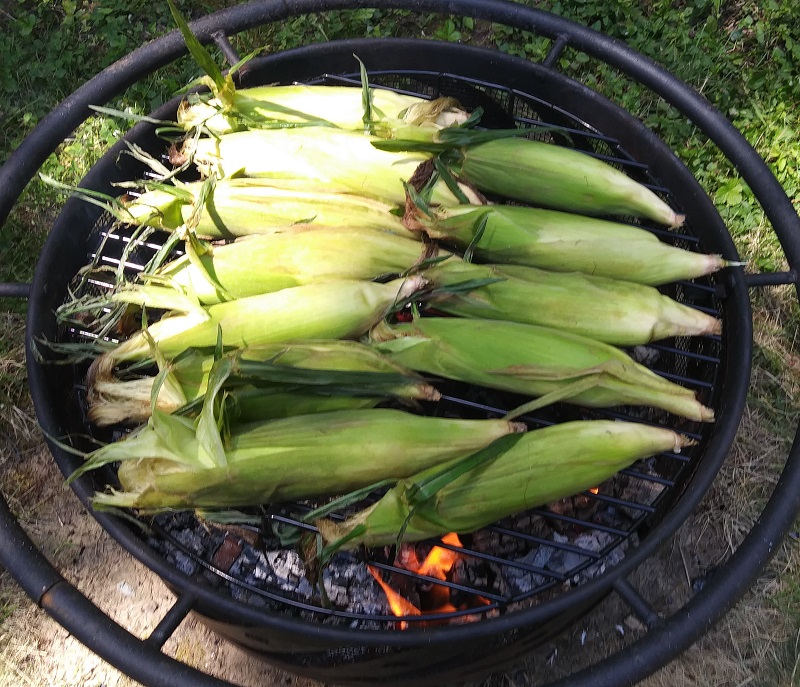 Sam's Place How to Cook Corn on a Campfire