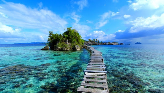 Delapan Surga Bawah Laut Indonesia Yang Banyak Diburu Wisatawan Mancanegara Delapan Surga Bawah Laut Indonesia Yang Banyak Diburu Wisatawan Mancanegara