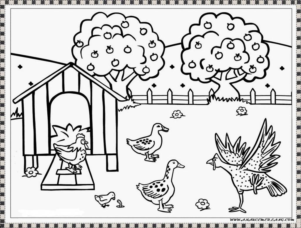 Mewarnai Gambar Ayam Anak Cemerlang Buku Islami Pdf