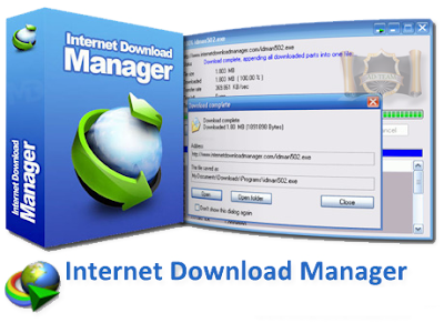internet download manager IDM