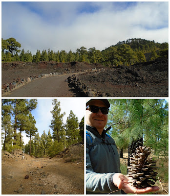 Hiking Chinyero - www.growourown.blogspot.com Hiking Chinyero - www.growourown.blogspot.com