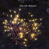 Eye of Night