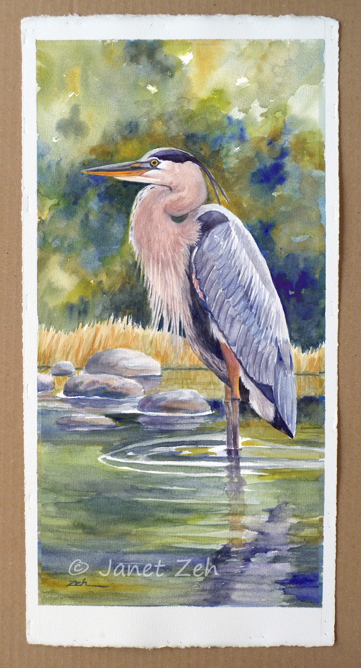 Janet Zeh Original Art Watercolor and Oil Paintings: Great Blue Heron