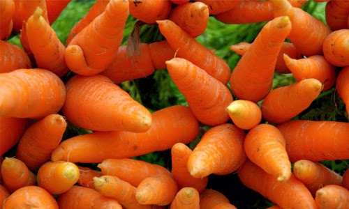 manfaat dan khasiat wortel
