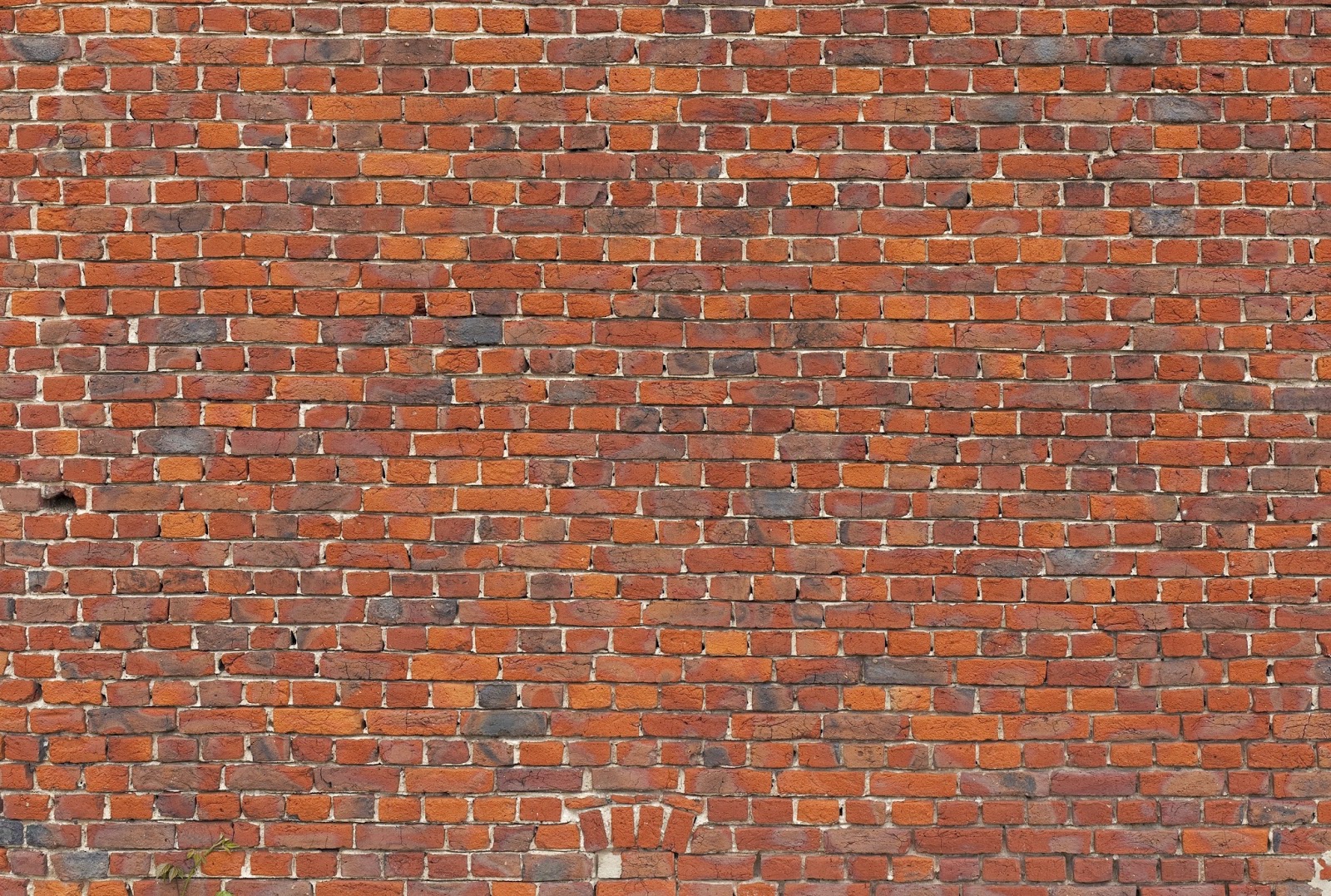 tường gạch brick