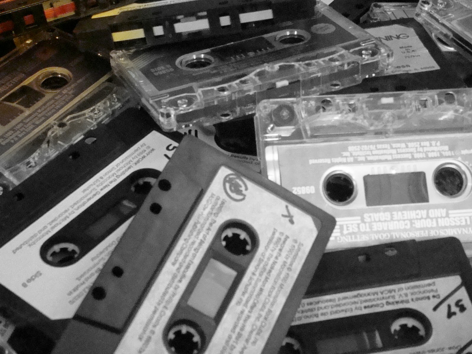 My Tapley Tree...and its Branches February 2011