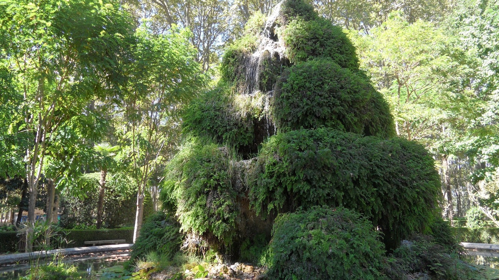 EL BOSQUE ENCANTADO PARQUE DE LA DEVESA (GIRONA)