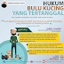 Hukum Bulu Kucing Yang Tertanggal Di Rumah