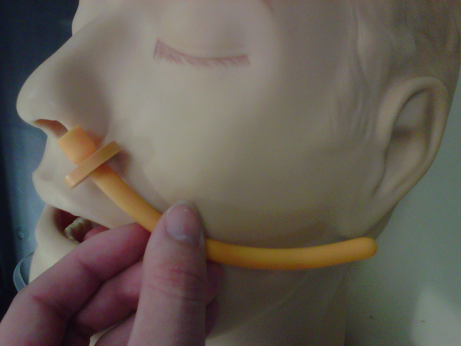 bingbabel Nasal Trumpet NPA