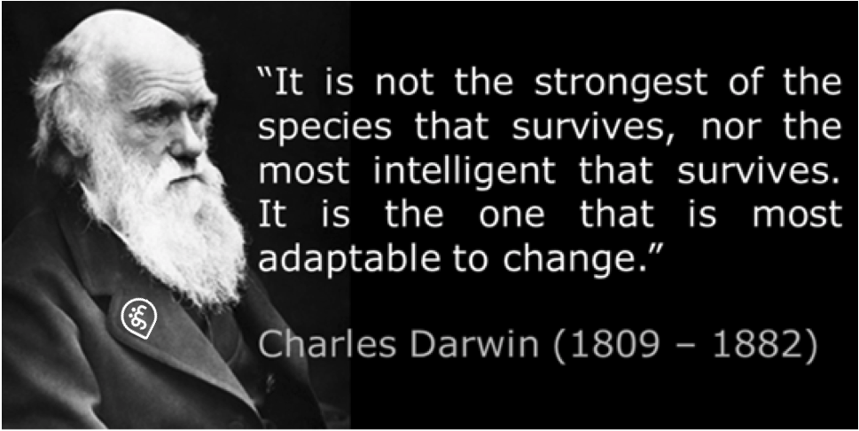GagaMuller Blog The Difference between DarWINNING and