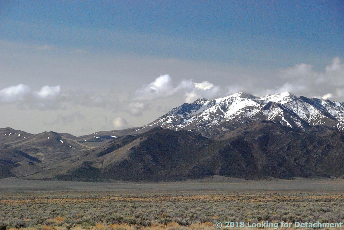 Looking For Detachment