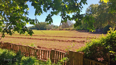 La Huerta Grande - San Fernando de Henares La Huerta Grande - San Fernando de Henares