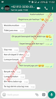 Umpan serbuk Ikan Mas Musim Hujan Umpan serbuk Ikan Mas Musim Hujan