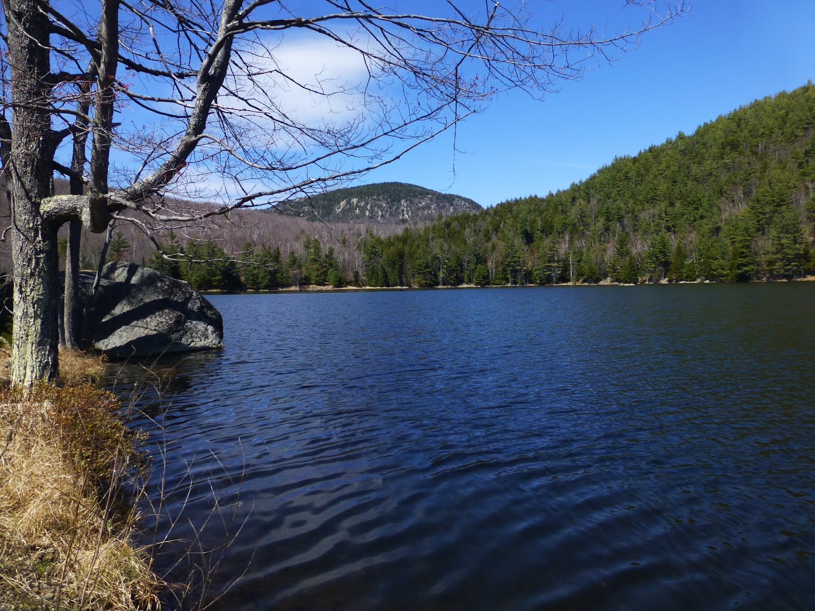 Off on Adventure Round Pond and Mud Pond Wilcox Lake Wild Forest 2