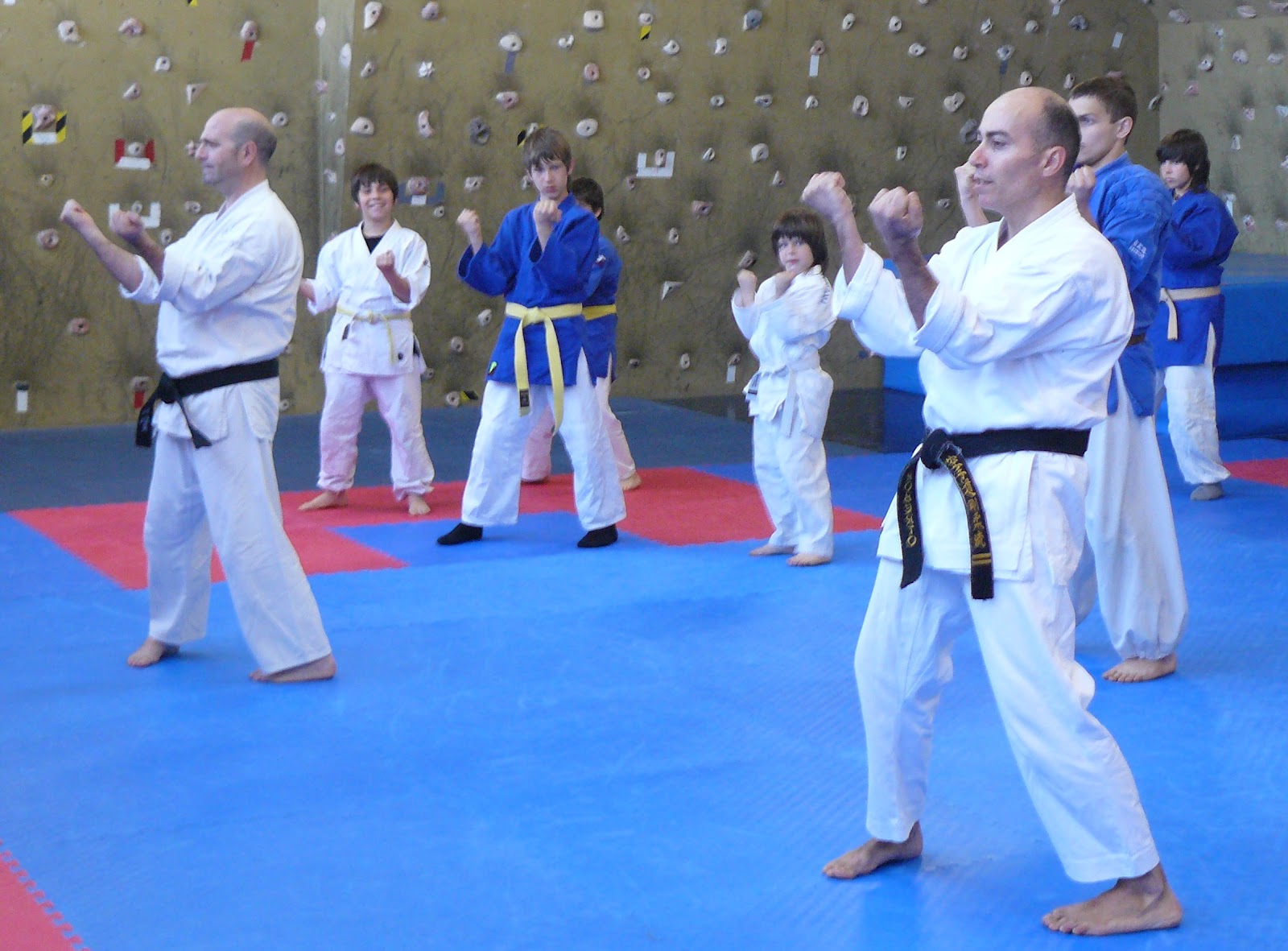 NANBUDO DOJO SHIZEN curso de Goju ryu