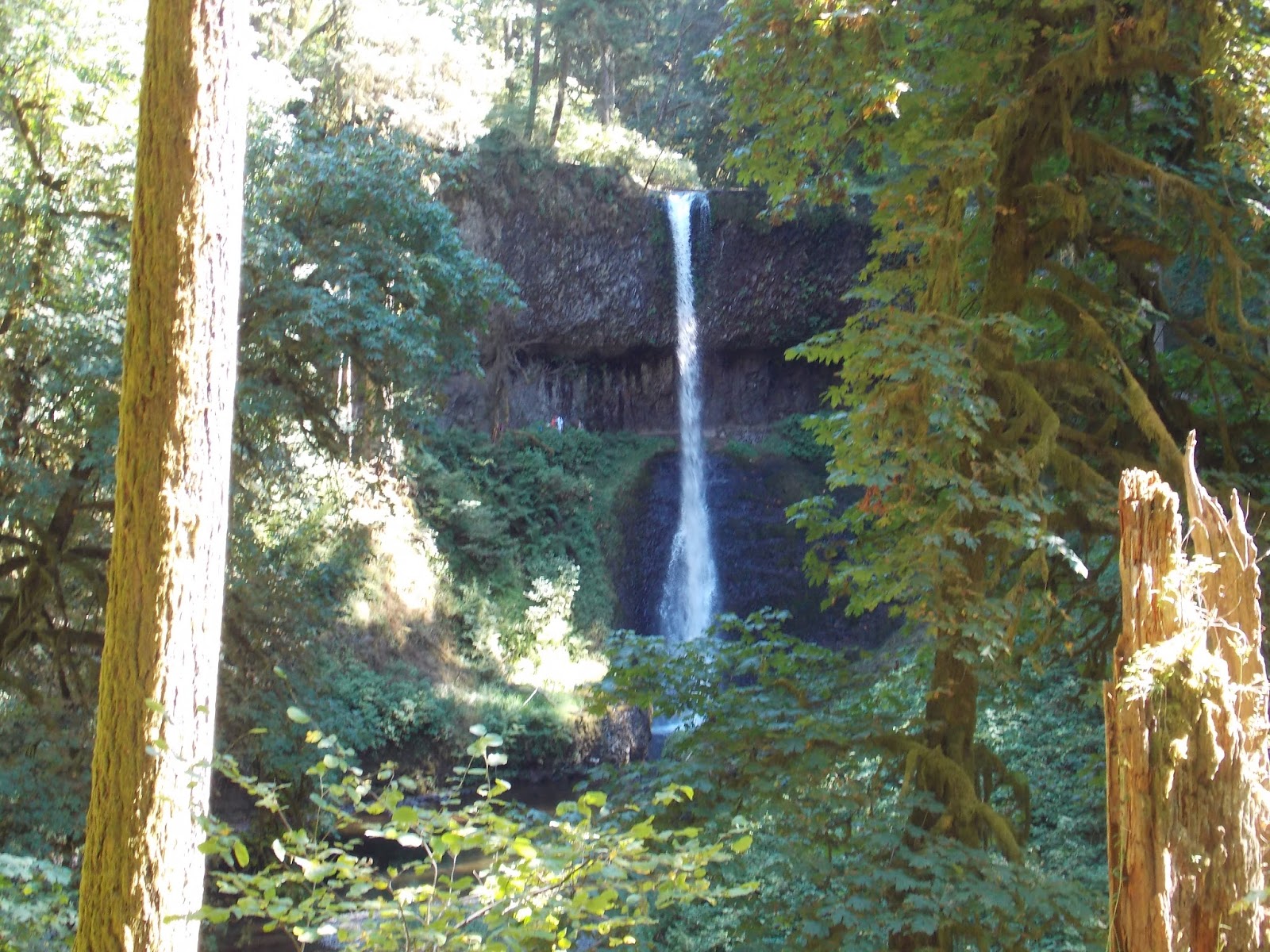 The Schramm Journey Touring around Silverton, Oregon