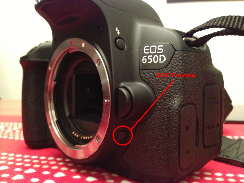 DSLR Amateur Canon 650D Tip Depth of Field / Aperture Preview Button