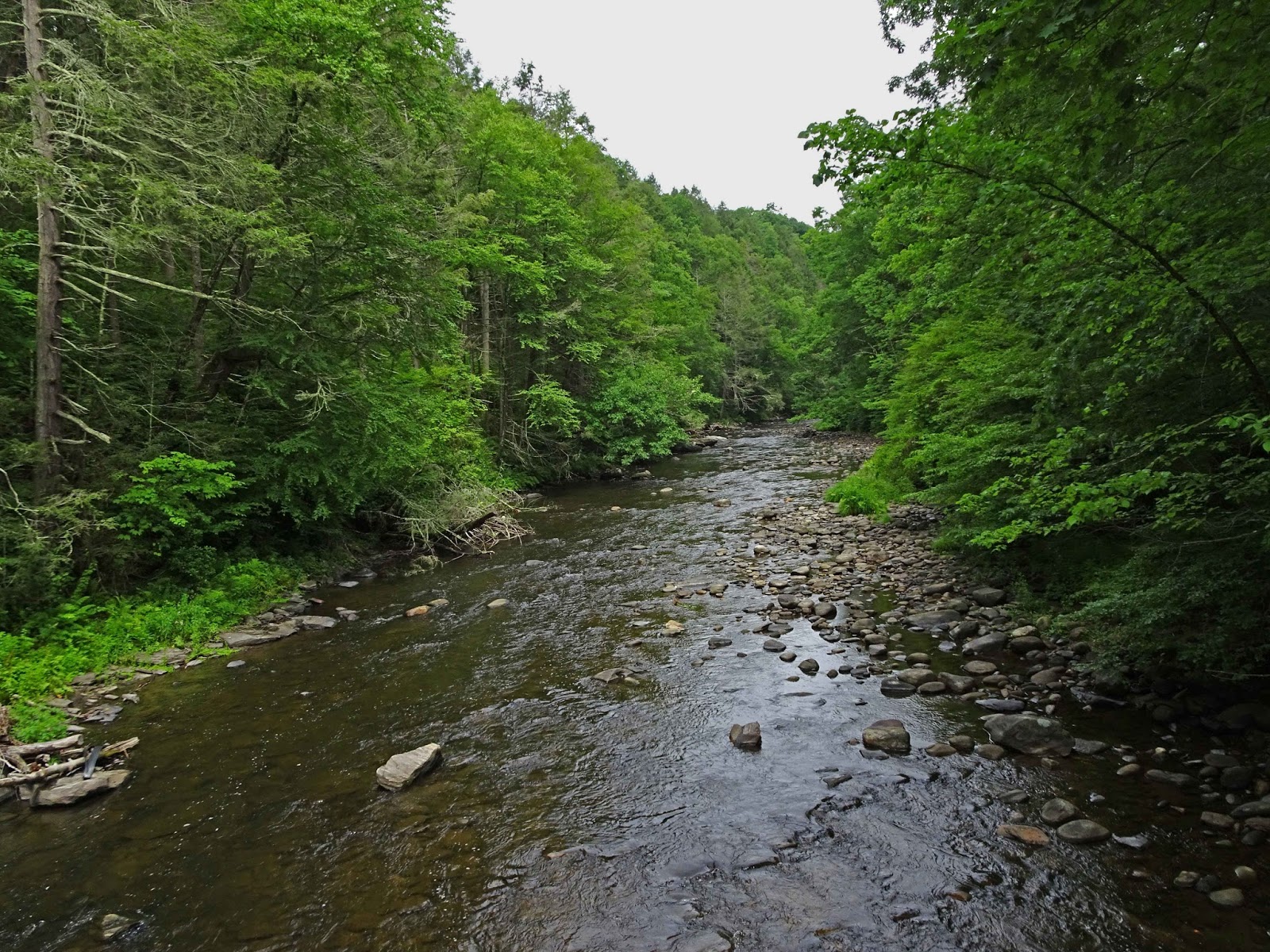 Joe's Retirement Blog A Walk in the Woods, Hidden Valley Preserve
