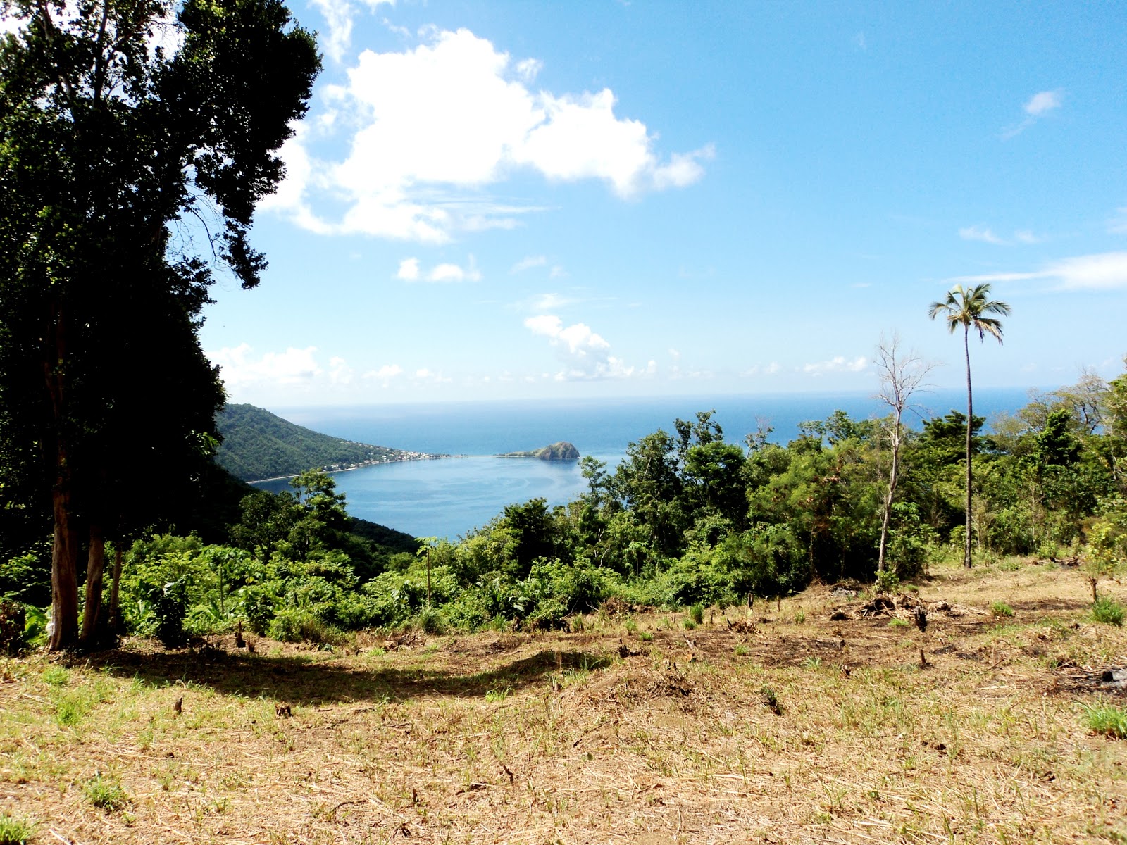 Buy land in Pointe Michel, Dominica an ecoparadise retreat!
