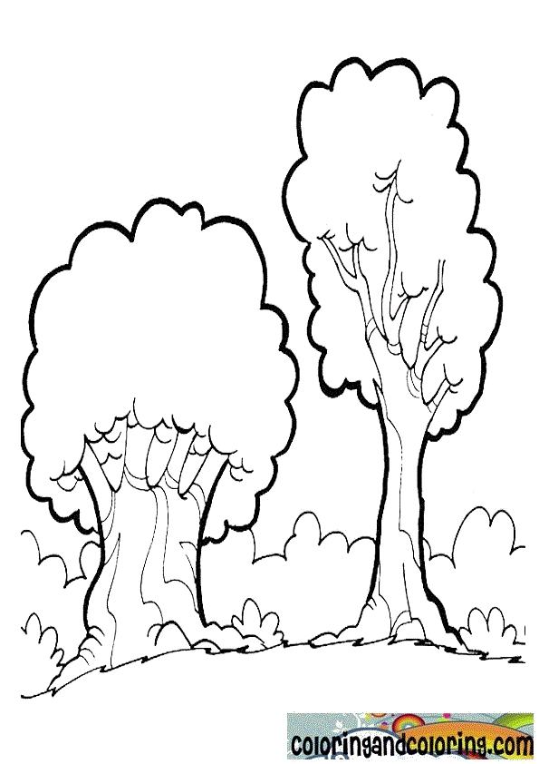 Forest Coloring Pages Best Coloring Pages For Kids - vrogue.co