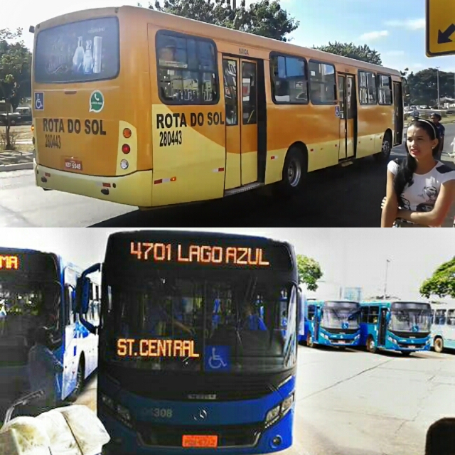 Skins de Ônibus DF/Entorno: 2018