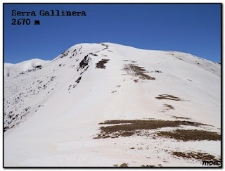 Siguenos en Facebook