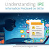 Understanding IPE (Information Produced by Entity)