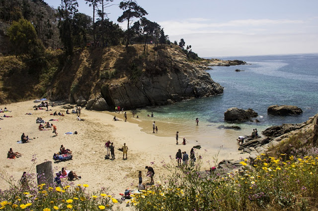 Passeio romântico na Praia Los Enamorados em Viña del Mar Passeio romântico na Praia Los Enamorados em Viña del Mar