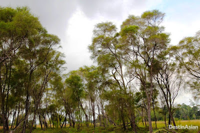 Rawa Aopa Watumohai; Taman Nasional Raksasa di Sulawesi