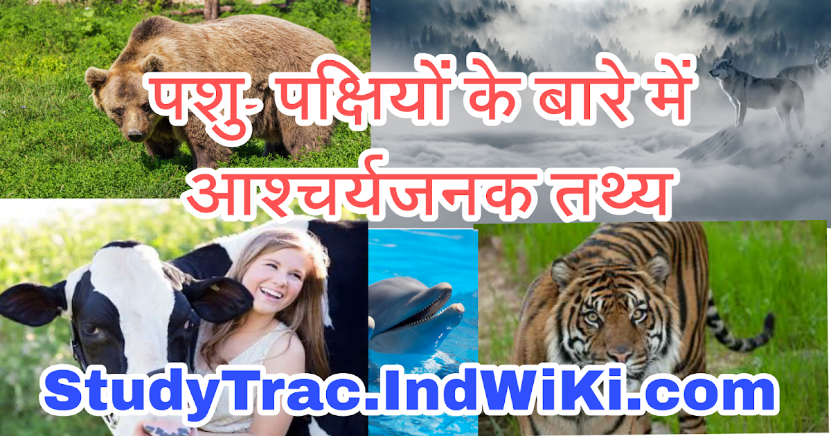 पशु-पक्षियों के बारे में रोचक तथ्य(Animals amazing facts in hindi)