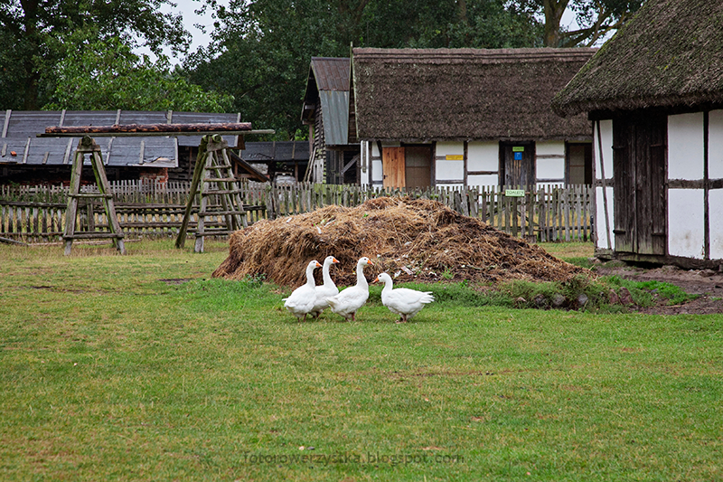 skansen 