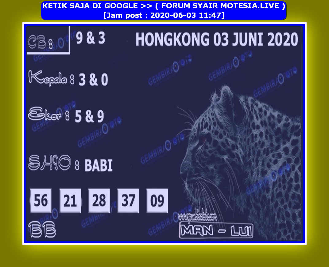 forum syair hk Meloditogel