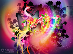 designs cool colorful desktop awesome wallpapers computer phoenix splash really colour abstract bird rainbow colors colours creative popular pretty crazy