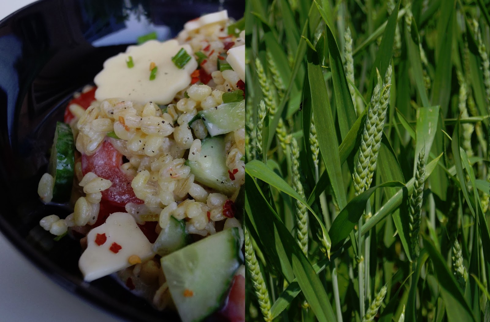 (no) plain Vanilla Kitchen: Ebly-Salat mit Käseblumen