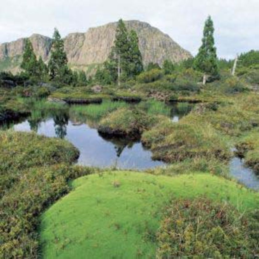 news tourism world Walls of Jerusalem National Park Exposed Extremes of Tasmania Guide news tourism world Walls of Jerusalem National Park Exposed Extremes of Tasmania Guide