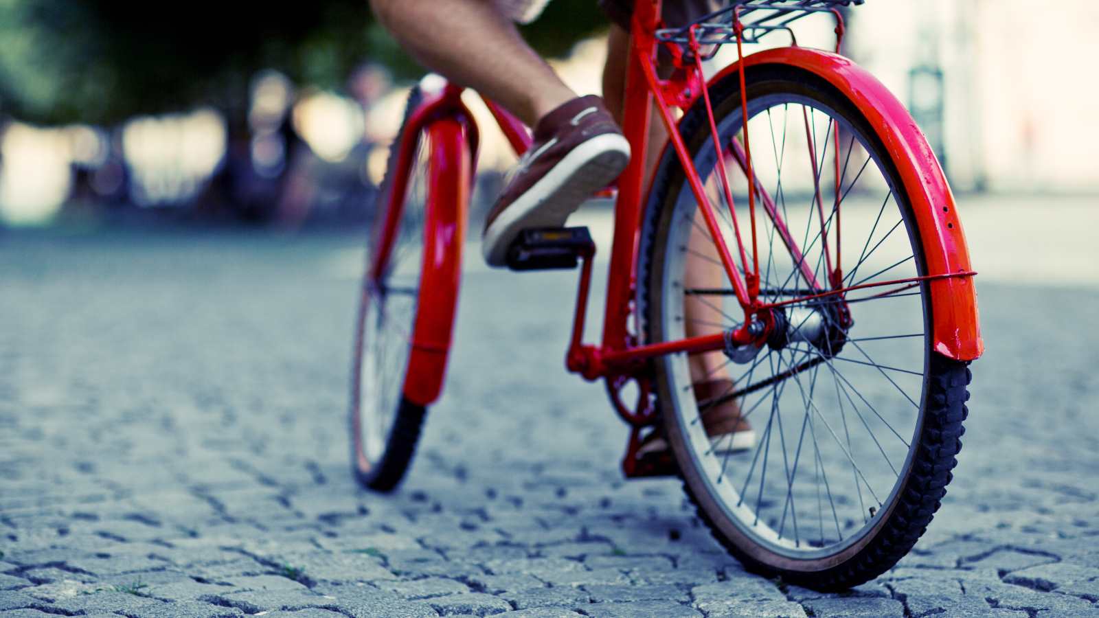 Observations In An Undemocratic World Silly Bike Laws understanding-bike-laws-in-your-state-to-act-as-necessary
