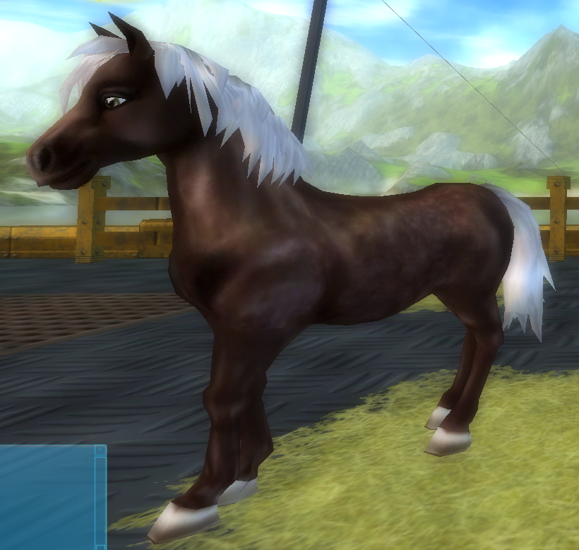Star Stable Daily : Horse Breeds