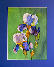 Blauwe iris