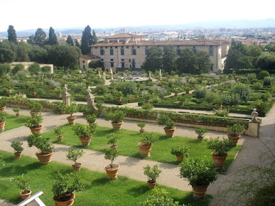 Container grown citrus plants at Villa Castello