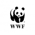 WWF India Recruitment 2019 Manager Vacancies