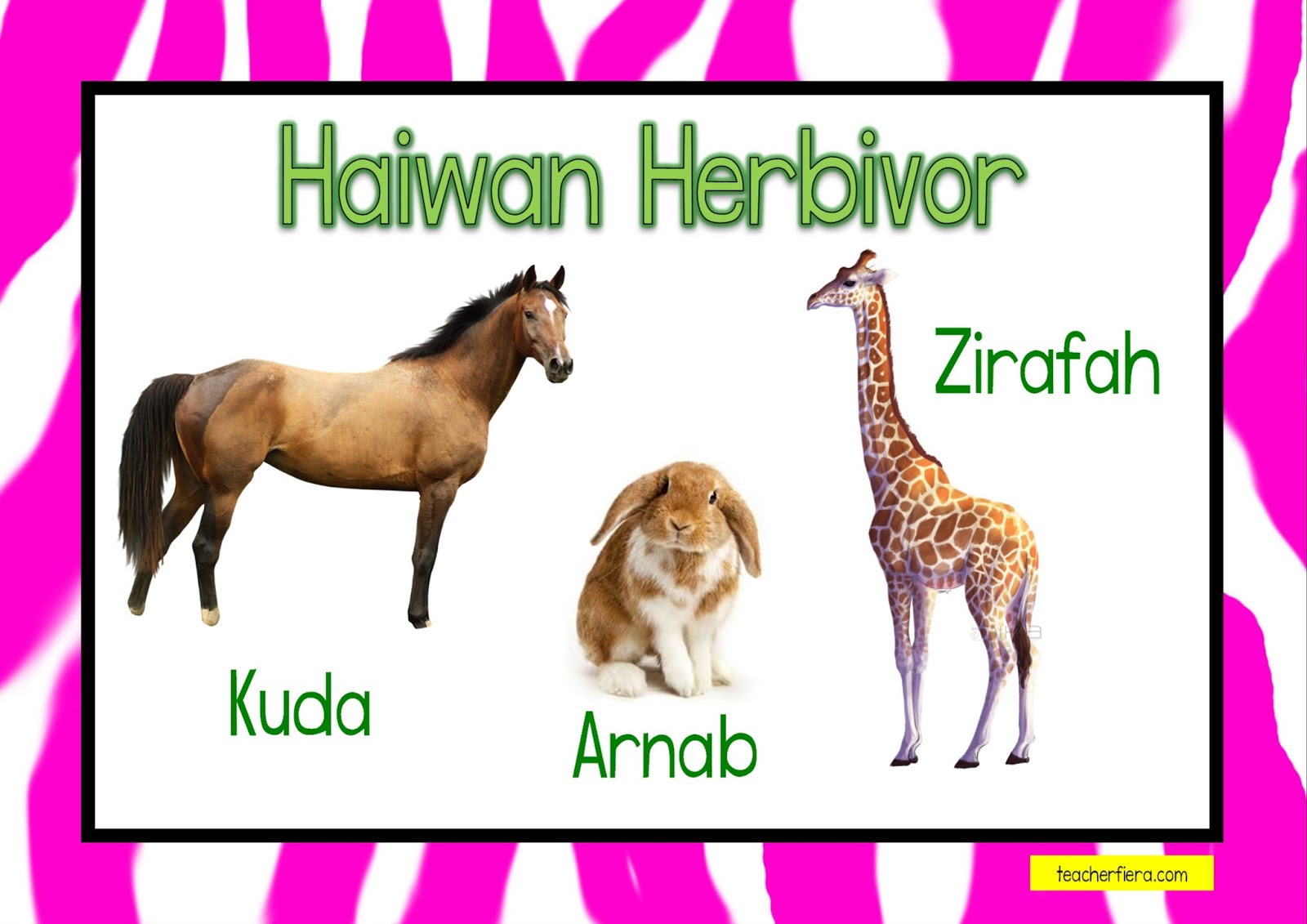 Haiwan herbivor tahun 3