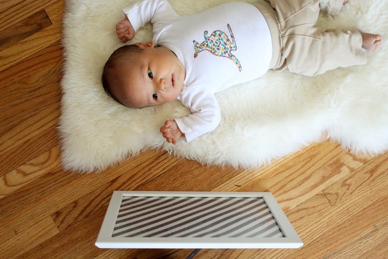 Black and White Images Montessori Baby Week 5