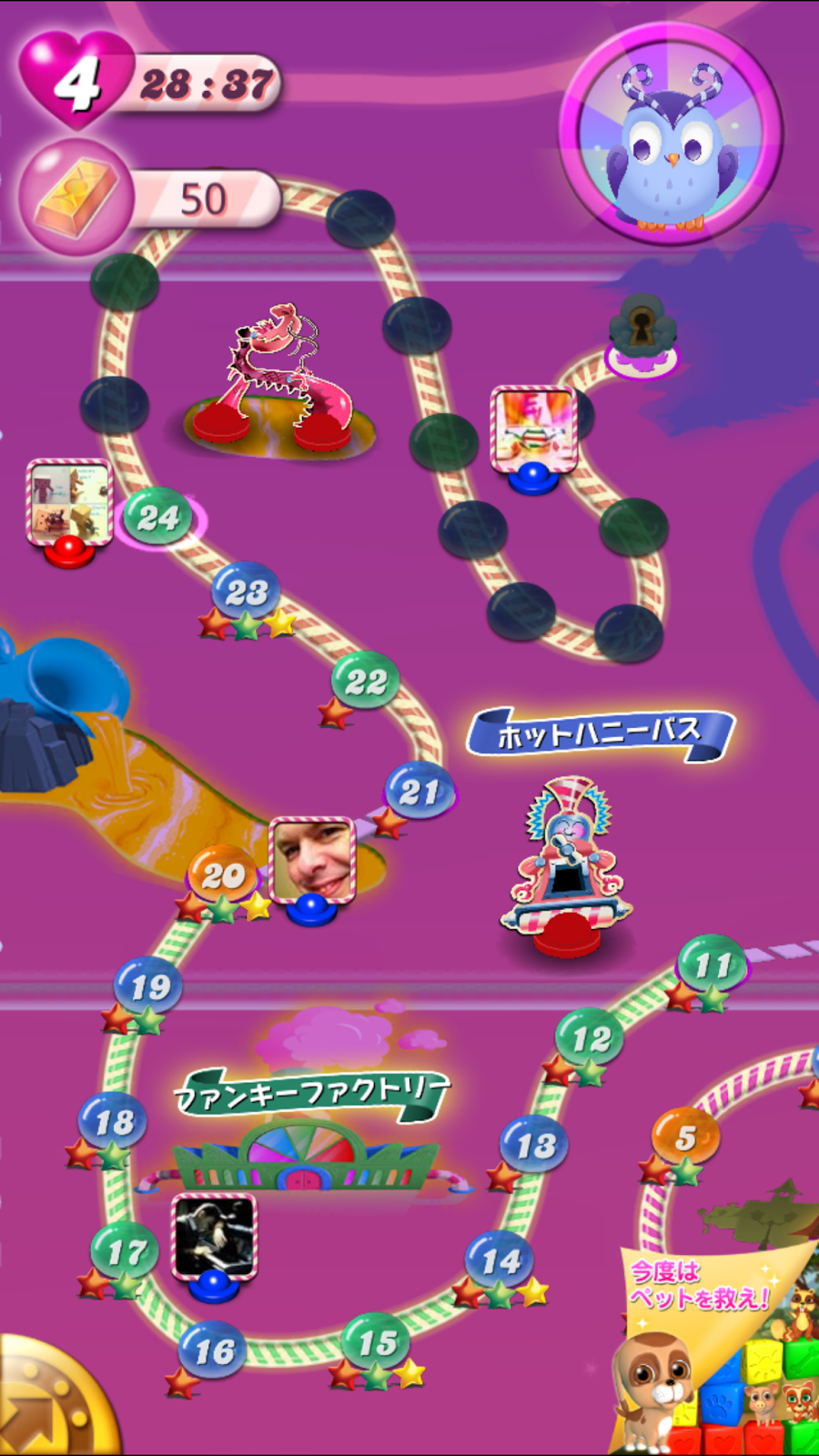 レビュー 連鎖のクラッシュがクセになるパズルアプリ キャンディークラッシュ Applidata