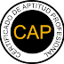 Certificado de Aptitud Profesional (C.A.P)