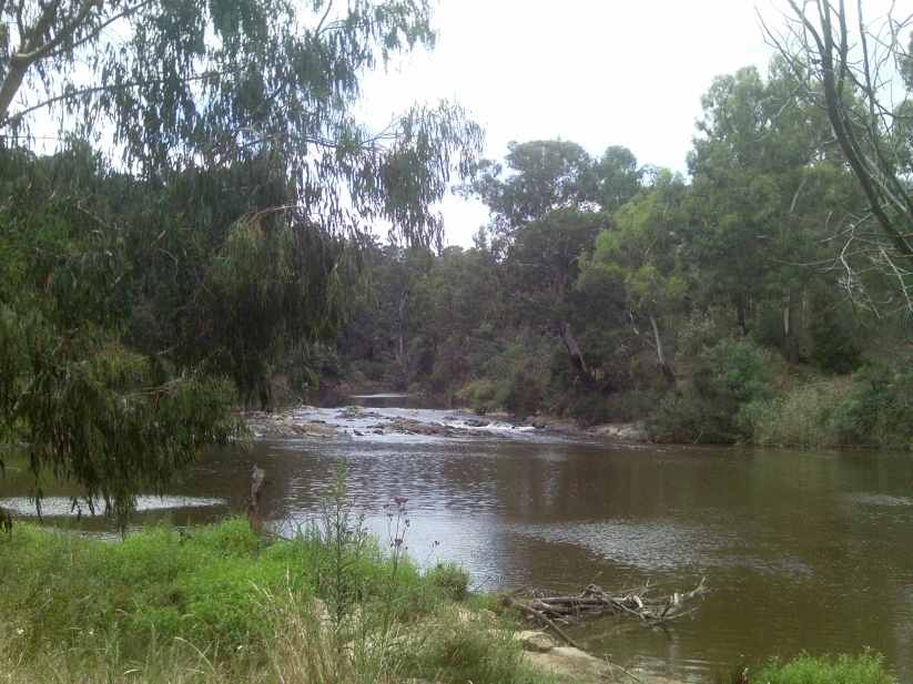 TRACKS, TRAILS AND COASTS NEAR MELBOURNE Summer hike at Sweeneys