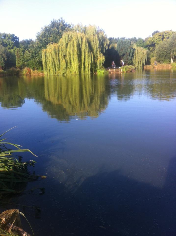 UK fishing venues Pool Bridge Farm (Horseshoe Lake) Venue Review