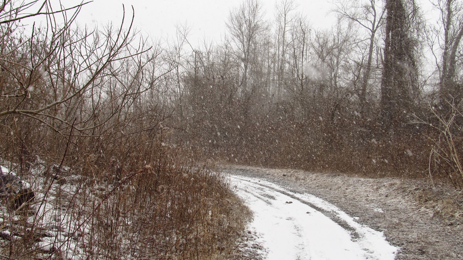 Old Industry of Southwestern Pennsylvania Revere No. 1 Coke Works