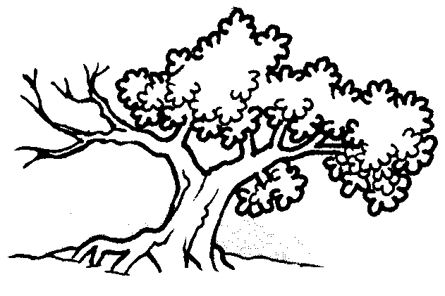 Sekitar Kawasan Sekolah Gambar Outline Bunga Pokok Sekitar Kawasan Sekolah Gambar Outline Bunga Pokok