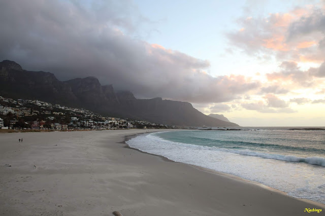 Ciudad del Cabo y Garden Route - Blogs de Sudáfrica - 20-11-18. Primer día en Ciudad del Cabo. (9)