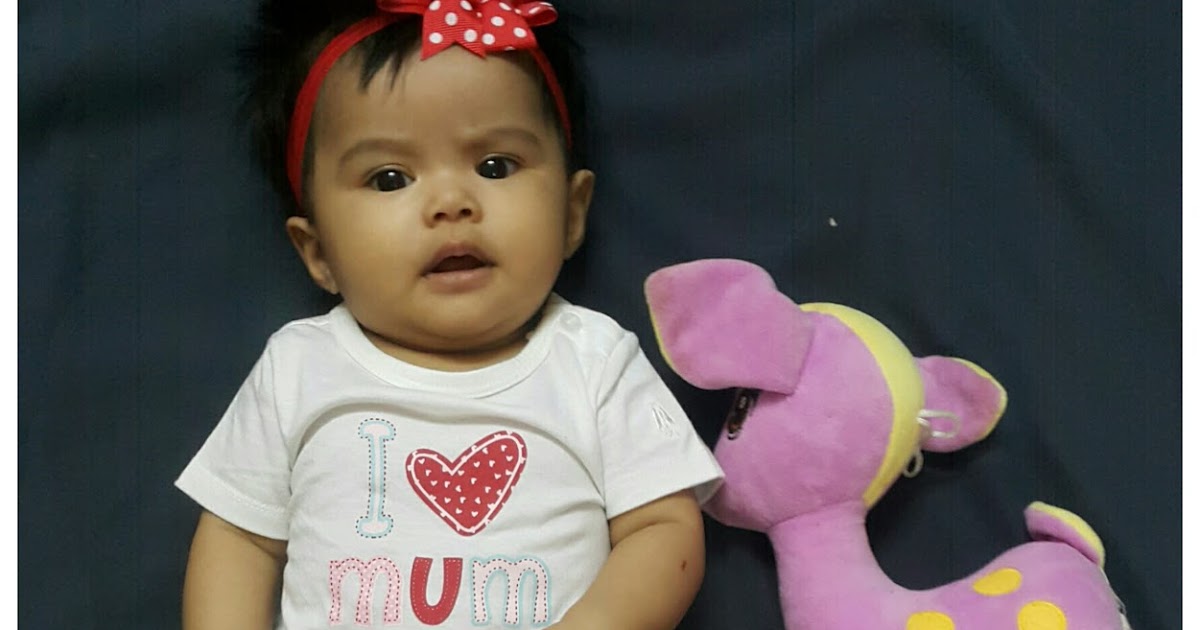 alat masak aman untuk bayi food processor bayi